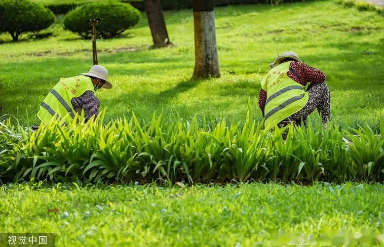 尖草坪区正规绿化工程来电咨询