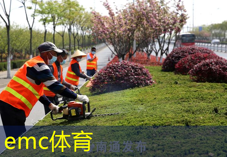 新沂市绿化工程