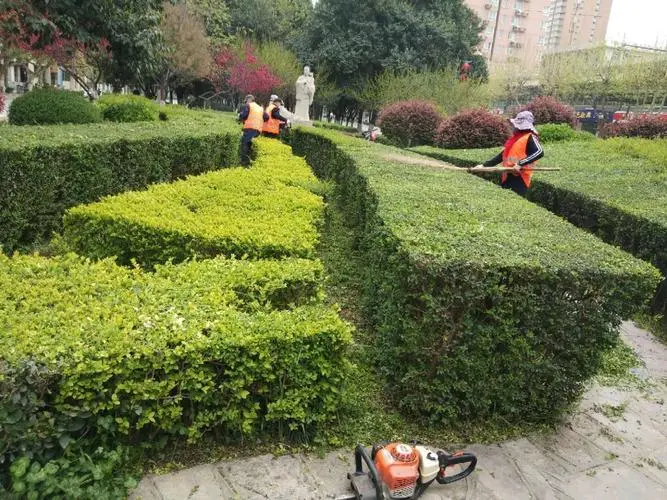 宿迁道路园林绿化工程