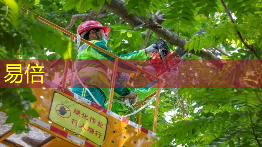 怀仁市近年来的绿化工程