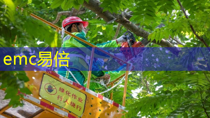 松江区高级绿化工程方案