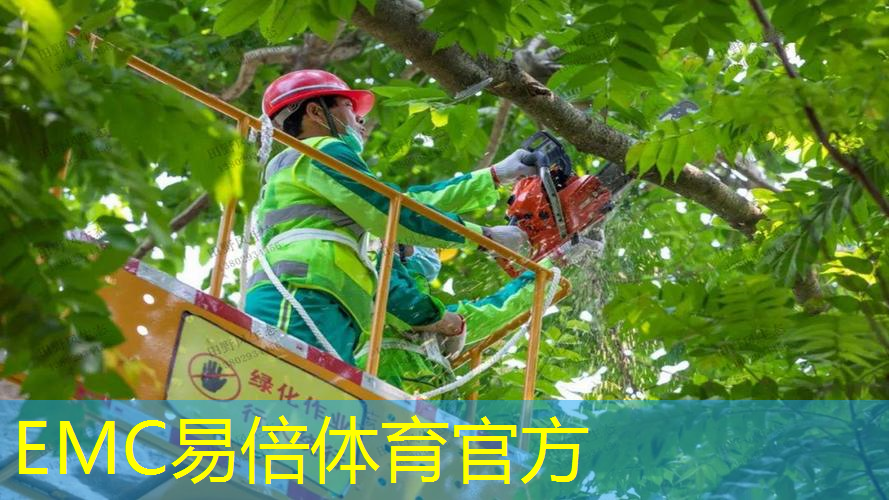 南北山绿化工程大会
