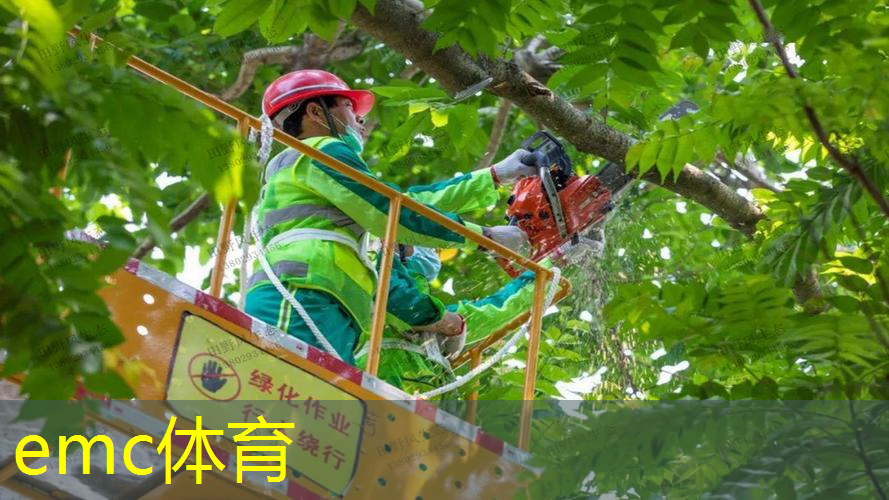 绿化工程技术交底怎么提问