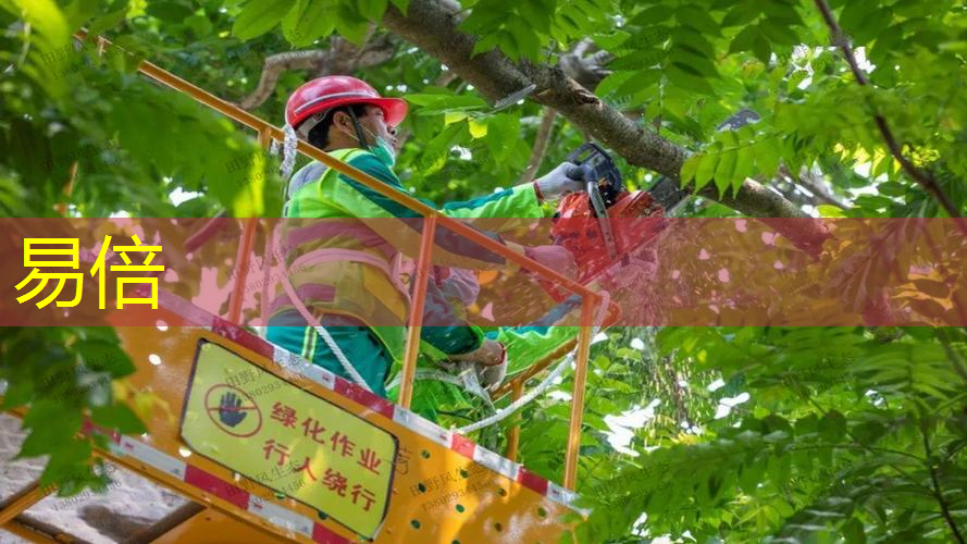 5000平园林景观设计