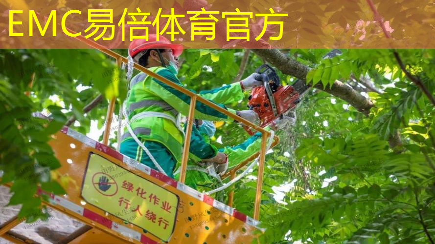 草坪绿化工程施工队伍 草坪绿化工程施工队伍