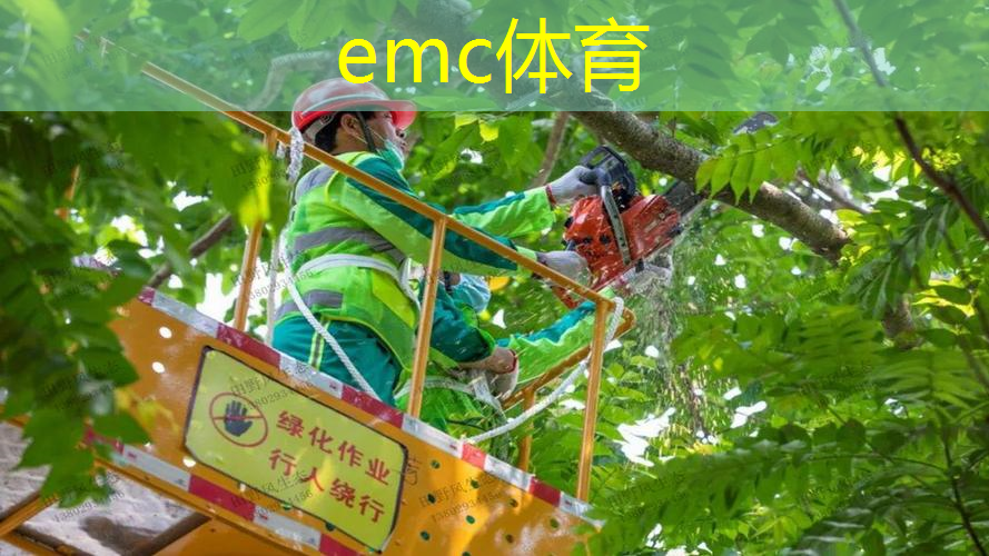 奉贤区综合园林绿化工程价目表