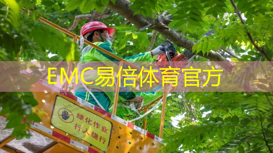 市政园林处“五抓五提升”锤炼过硬作风